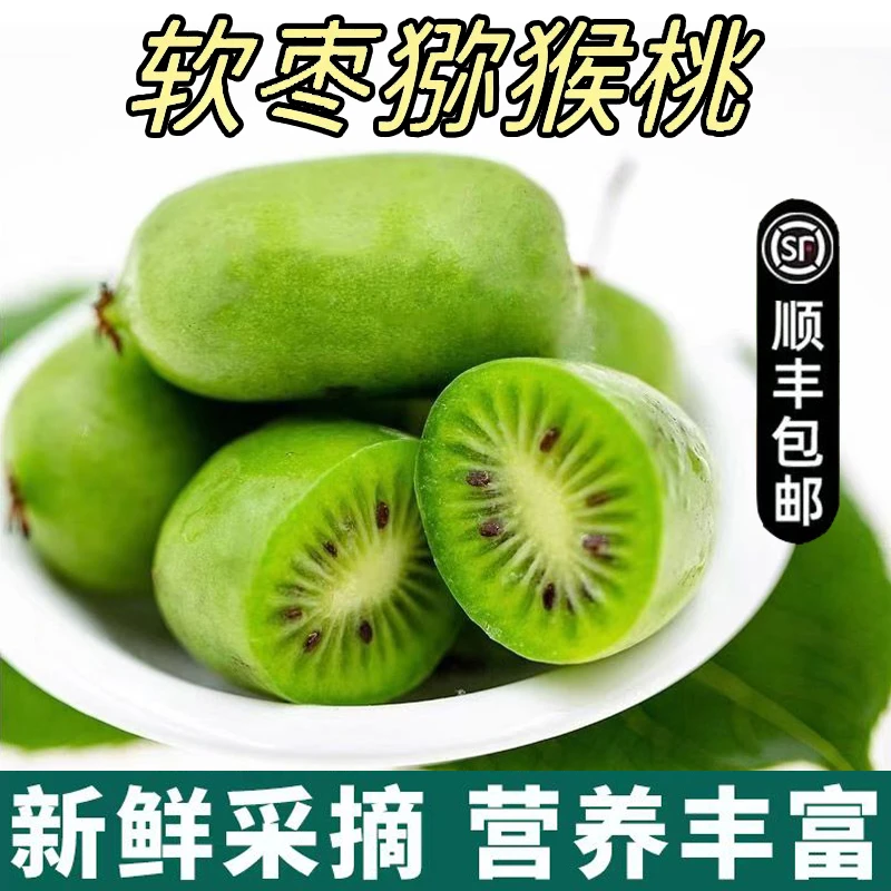 【顺丰包邮】软枣猕猴桃新鲜采摘奇异莓放软即食香甜圆枣子礼盒包装