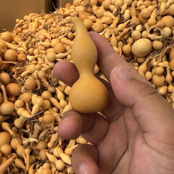 奋*** 奋斗葫芦4646464649649994