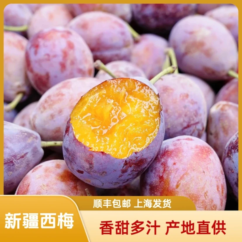 【顺丰包邮】空运新疆法兰西新鲜大西梅1-4斤装 甜西梅低脂轻食