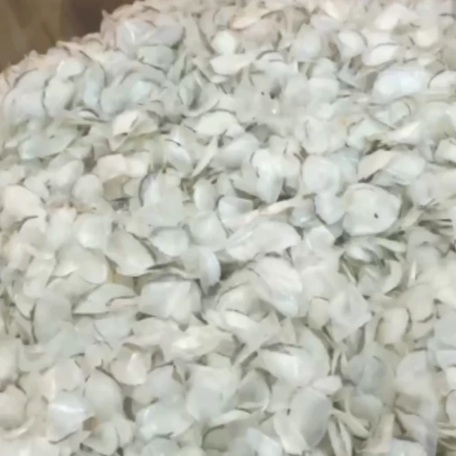 速鲜汇 赤嘴鱼鳞片250g/包