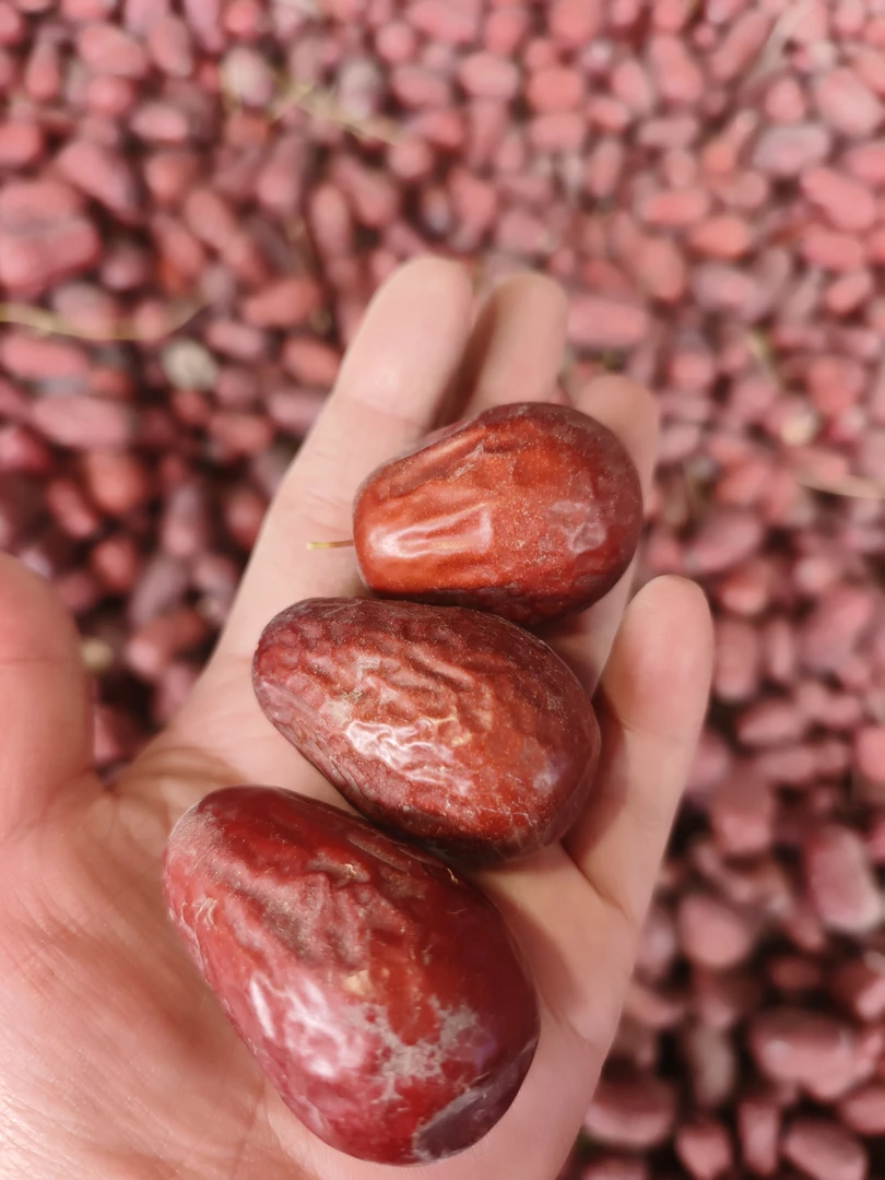 2024年新疆和田大枣不清洗不加工二三混级拍五斤发六斤原产地直发