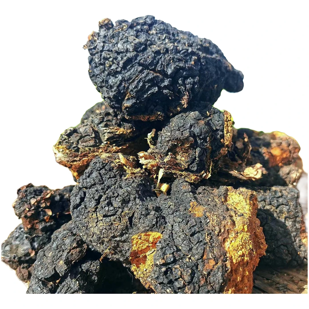 西藏高海拔 桦树茸500g/袋 可煮水/泡酒