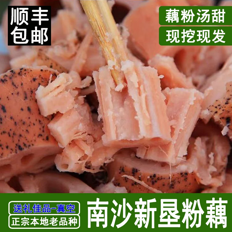 顺丰包邮【当天现挖】正宗新垦粉藕浓郁煲汤莲藕新鲜面藕2-6斤