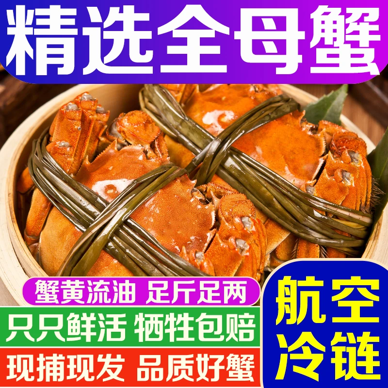 【活蟹】精品大闸蟹 全母蟹3.5-3.2两 8只+2只 产地直发10只
