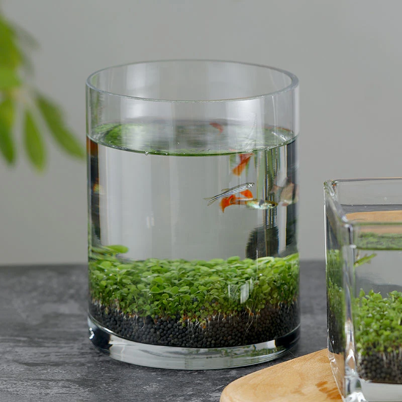 【新疆包邮】桌面微景缸水草缸水培缸生态瓶创意DIY居家水草泥种
