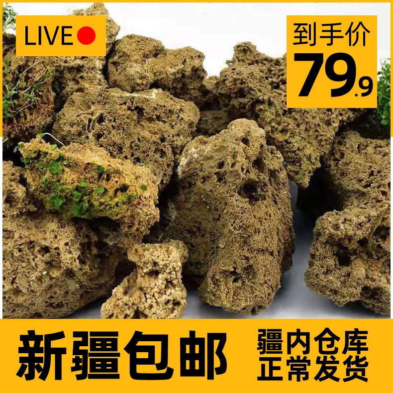 新疆包邮天然吸水石原石毛料造景石石假山盆景小型微景观石头摆件