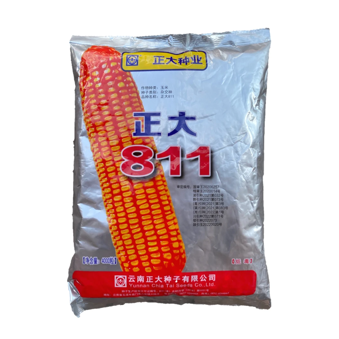 玉米杂交种子审定品种正大811玉米种子大田玉米鸡吃大棒轴细矮杆
