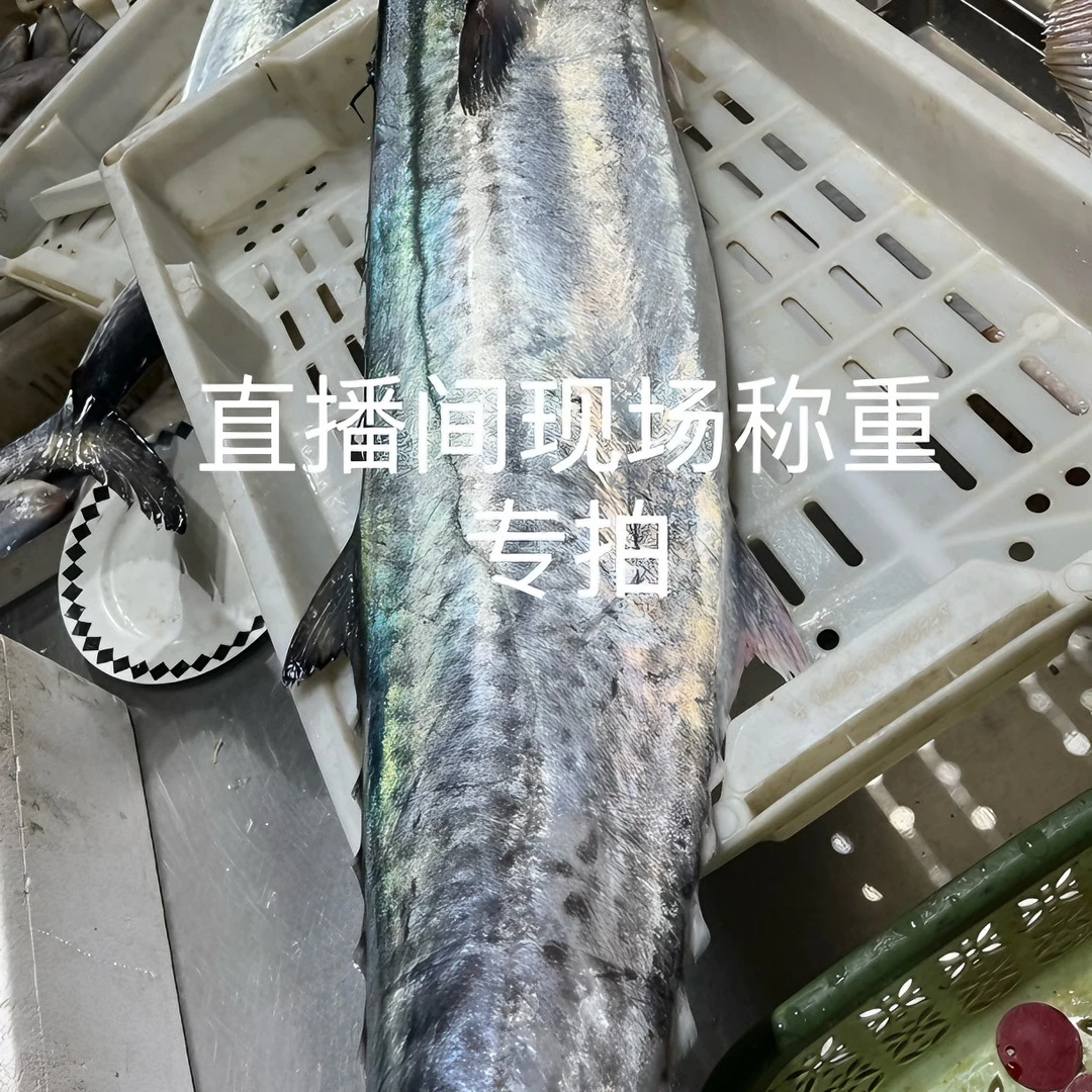 青岛海鲜：鱼、虾、蟹 （私人链接）进库不退