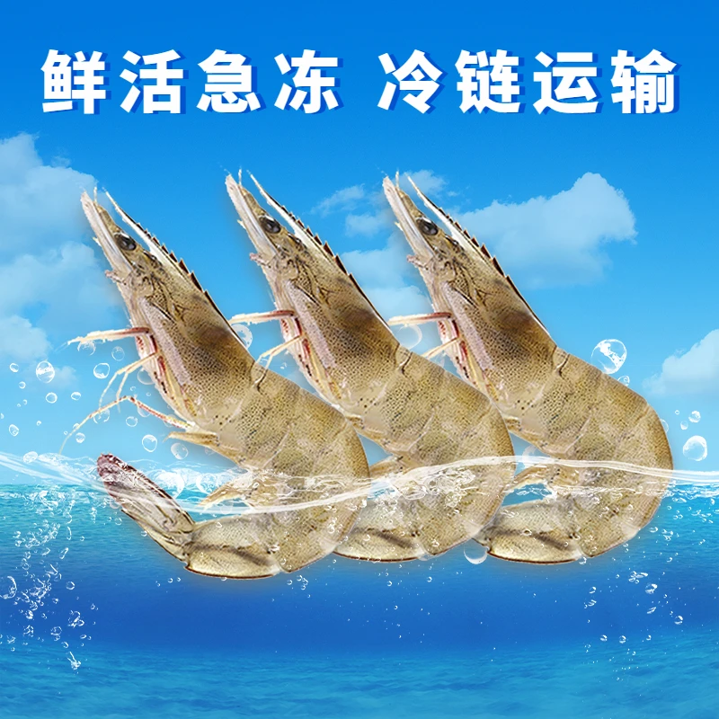 青岛大虾20-30规格