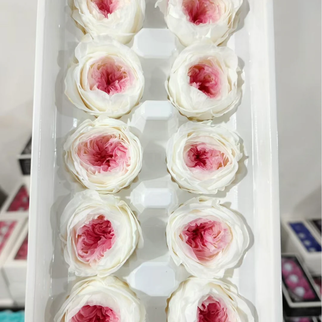 【奥斯丁】永生花玫瑰花头4cm左右10朵装A级奥斯汀永生花diy巧克力