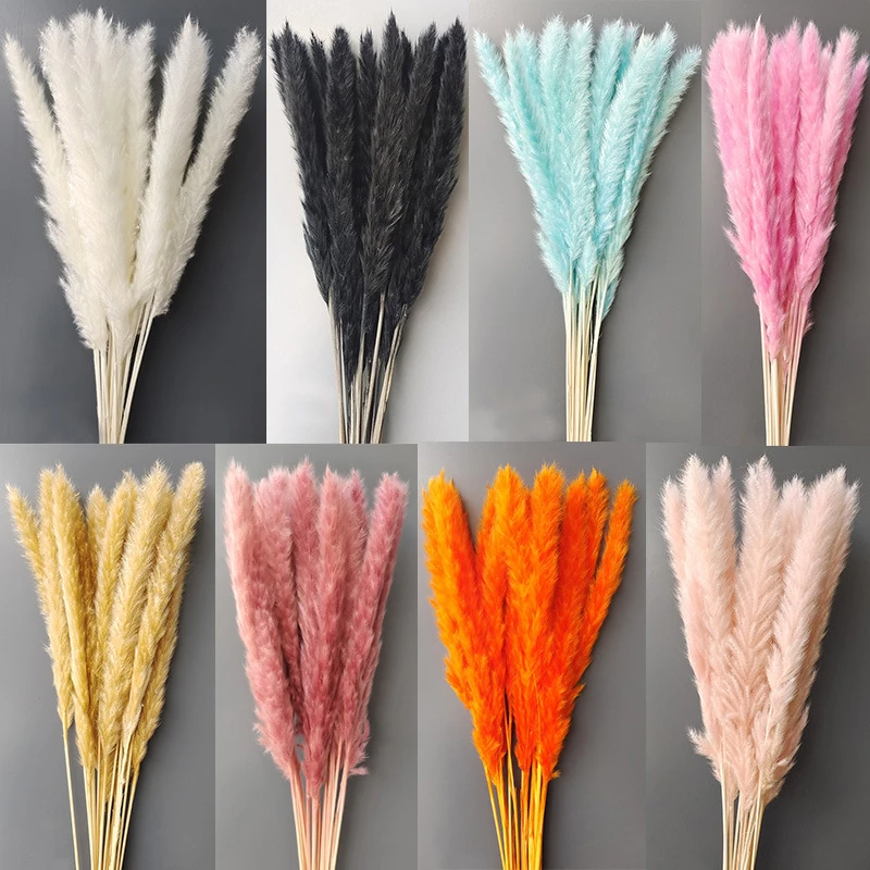 【小芦苇】小芦苇永生花花束蒲苇diy装饰摆件组装芦苇干花