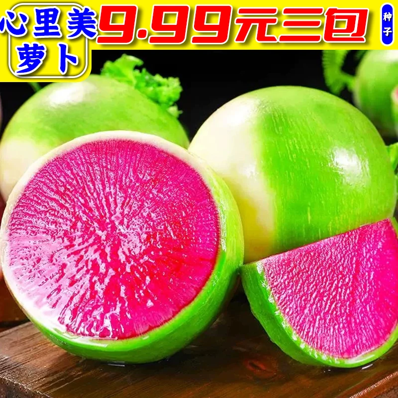 9.9元3包【心里美萝卜】萝卜种子四季阳台可种小院蔬菜夏季春季