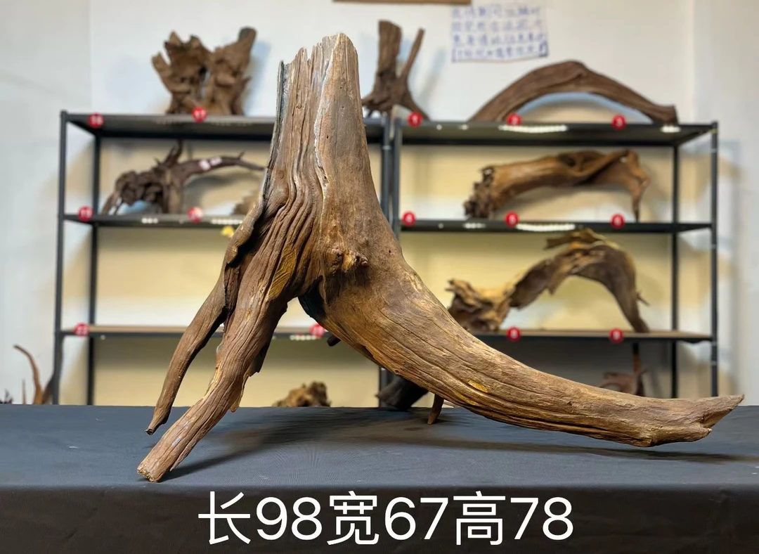 天然一体树桩鱼缸造景沉木爆裂纹镂空一体飘枝秒沉大鱼缸摆件