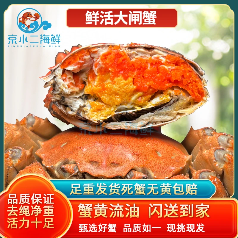 10只装 太湖鲜活大闸蟹（公母任选多规格）
