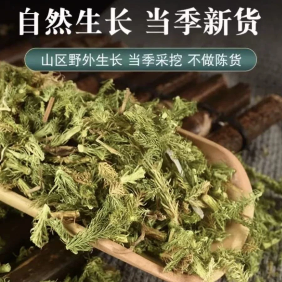 伸筋草中药材舒筋草申筋草小野新生搭透骨草远志益智仁泡水泡脚