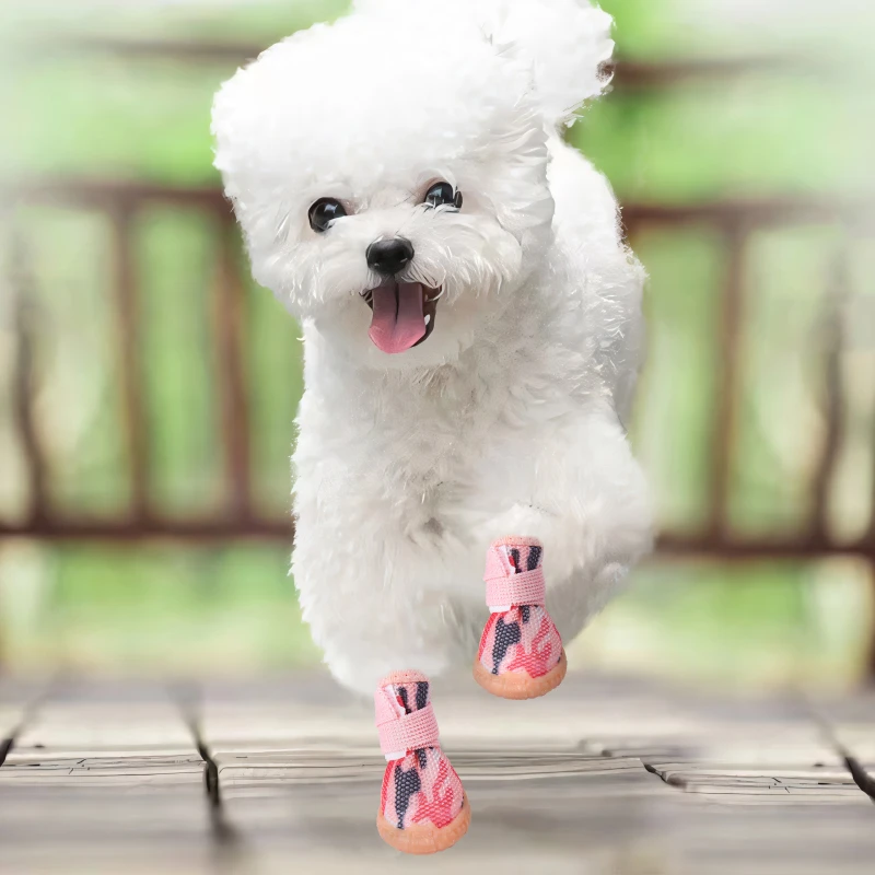 宠物四季网鞋泰迪博美犬小狗跑步弹力鞋透气舒适好穿防掉一套4只