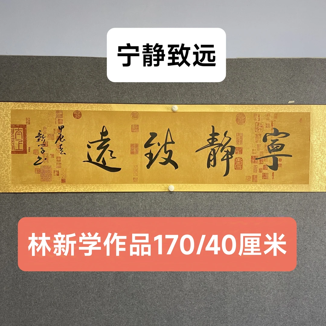 宁静致远林新学书法170/40