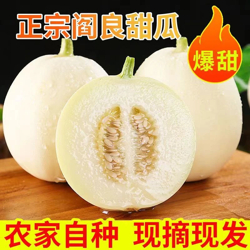 陕西阎良甜瓜应季水果新鲜采摘白皮脆瓤甜瓜