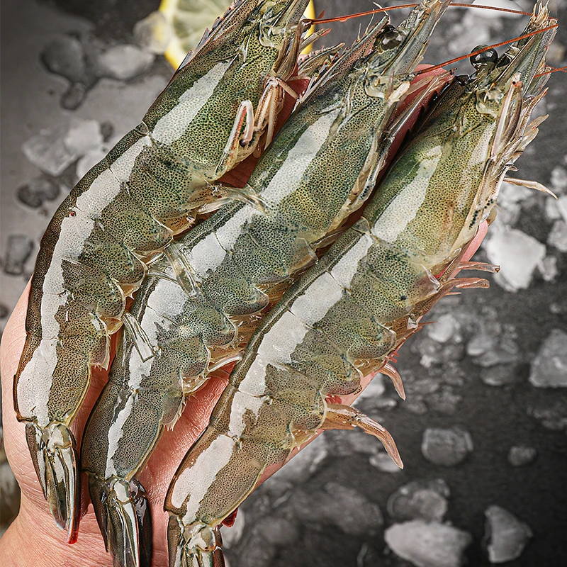青岛发货约15-17cm 大号海虾净重3斤35-45只 鲜活急冻锁鲜发货