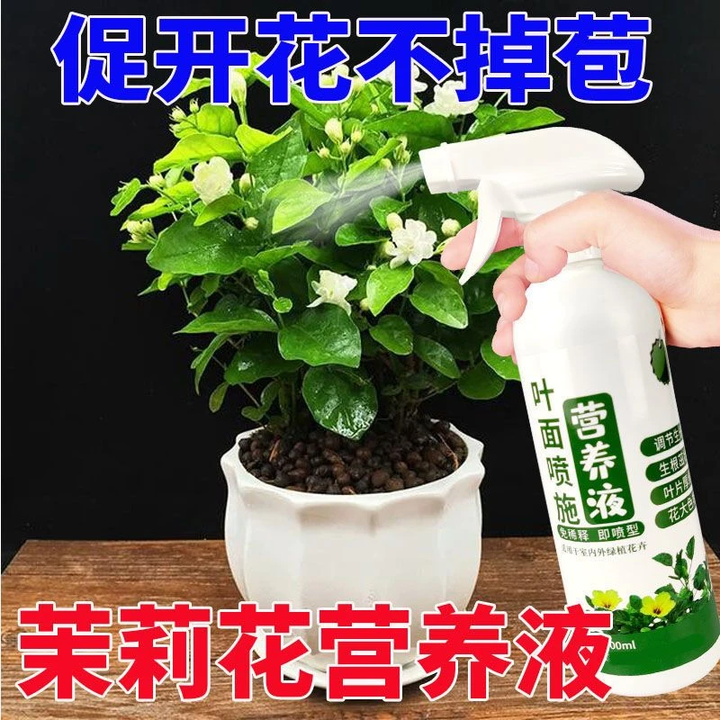 茉莉花专用营养液催花发芽绿叶延花期状根茁苗抗黄叶茉莉花液体肥