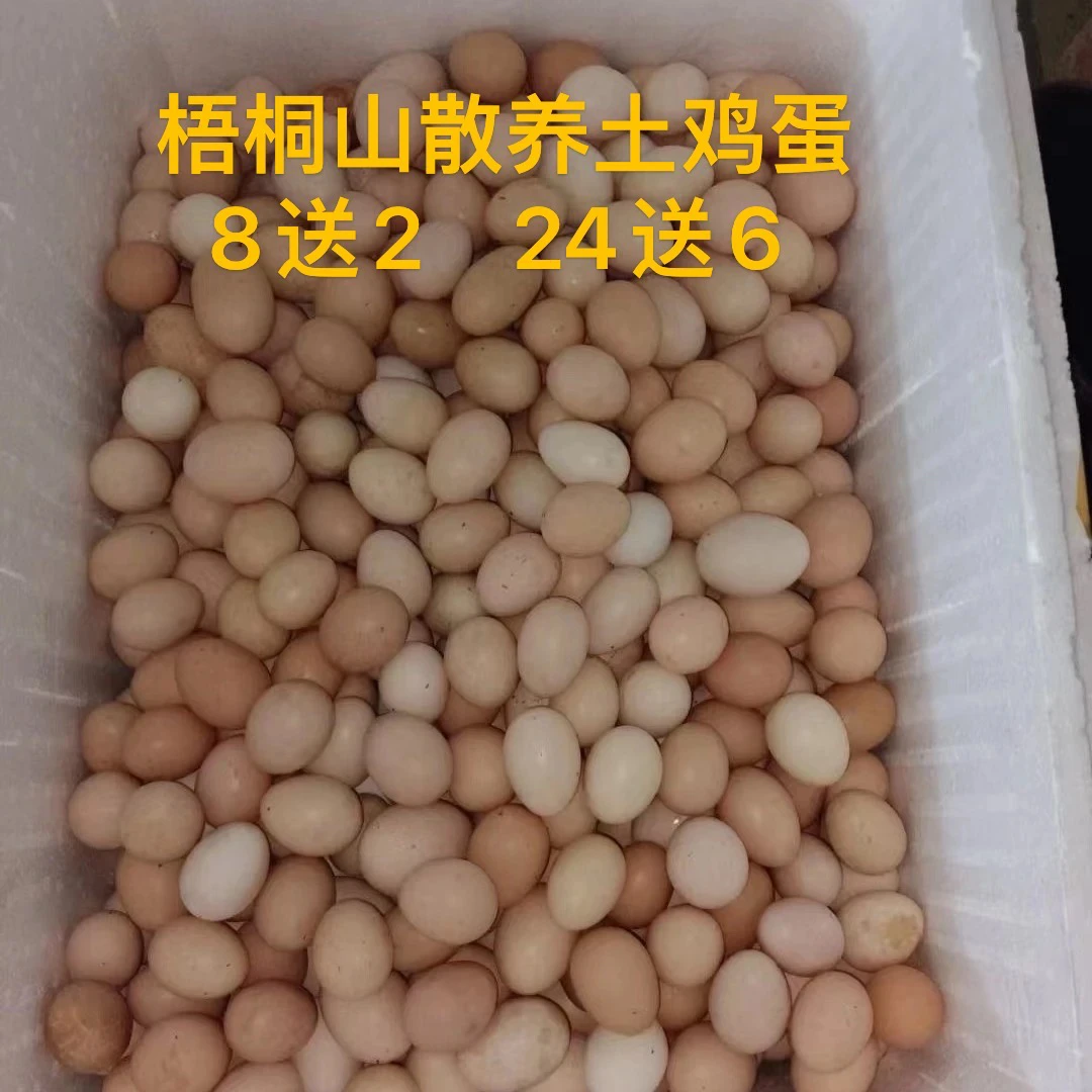 自家鸡下的鸡蛋8送2只预破损,24送6预破损【鸡蛋单拍隔日到】如拍鸡鸭可一起跑腿配送