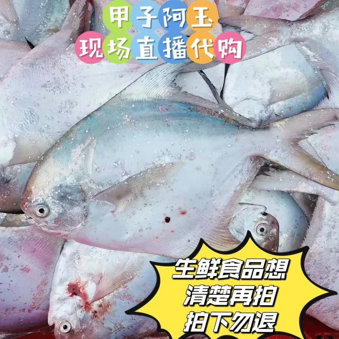 甲子港码头现场代购三斤起拍(现称改链接上架拍下勿退)新鲜