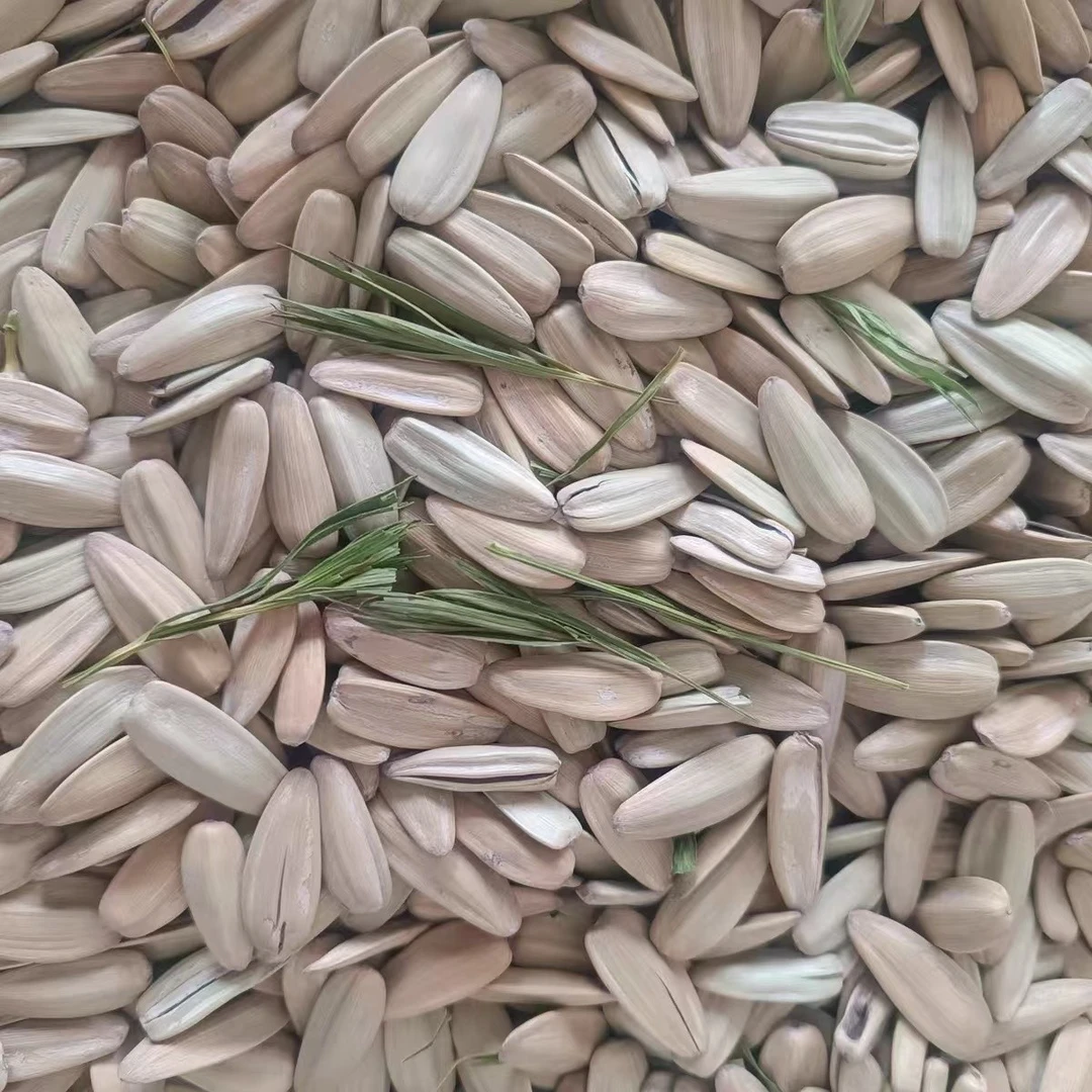 【到手12.8】新品竹韵茶香瓜子大颗粒250g