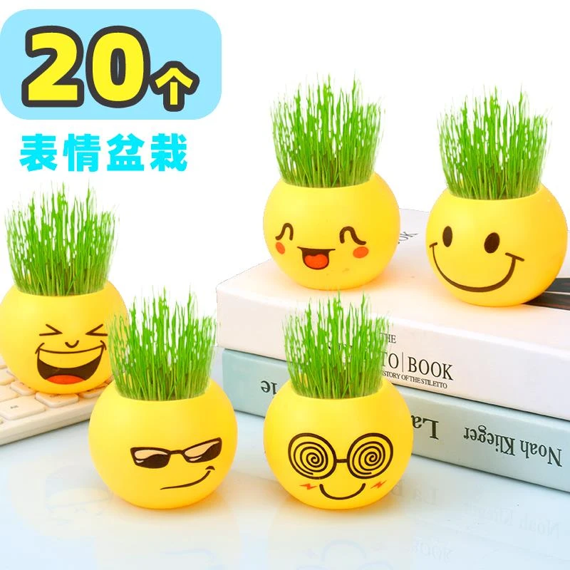 植物办公桌盆栽小草盆栽表情盆栽学生礼品奖品随手礼QQ表情栽培