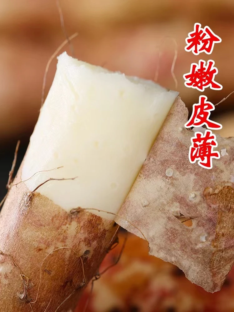 铁棍山药软糯香甜营养美味生鲜带箱五斤现挖微土30-40厘米