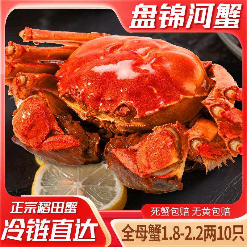 【活蟹直发】盘锦河蟹稻田蟹 全母蟹1.8-2.2两 10只 冷链直达