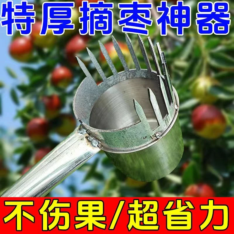 新款摘酸枣神器摘山枣专用工具摘果收集器加厚采收杨梅山楂防扎手