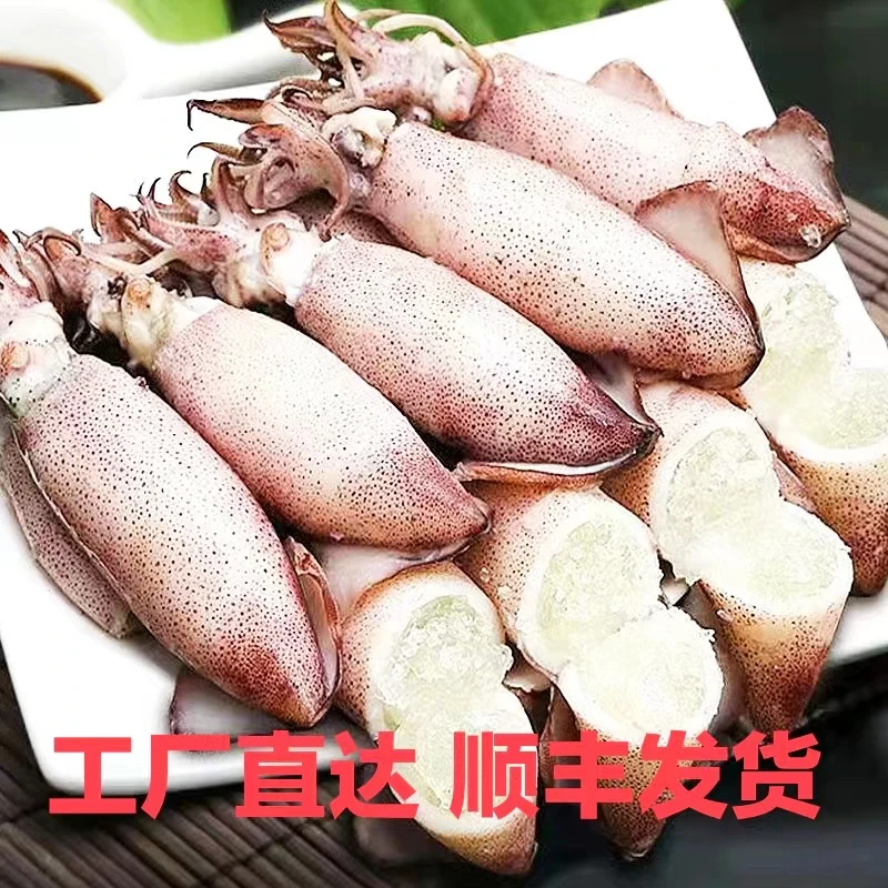 3大包海兔子满籽鲜活笔管鱼带籽海兔鲜冻全籽籽乌900克一1200克