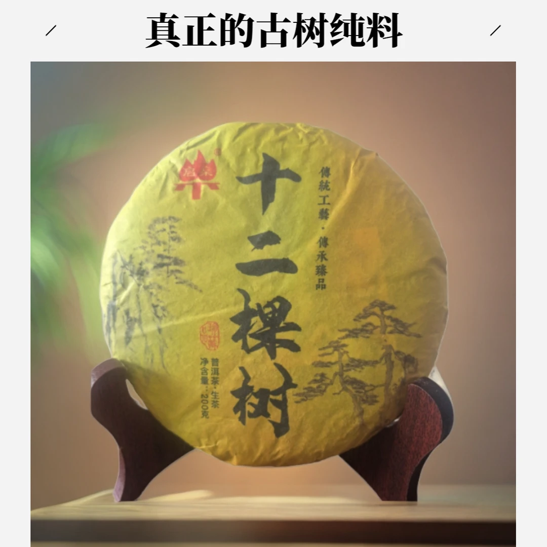 临沧茶区12棵树普洱生茶2024春茶200克