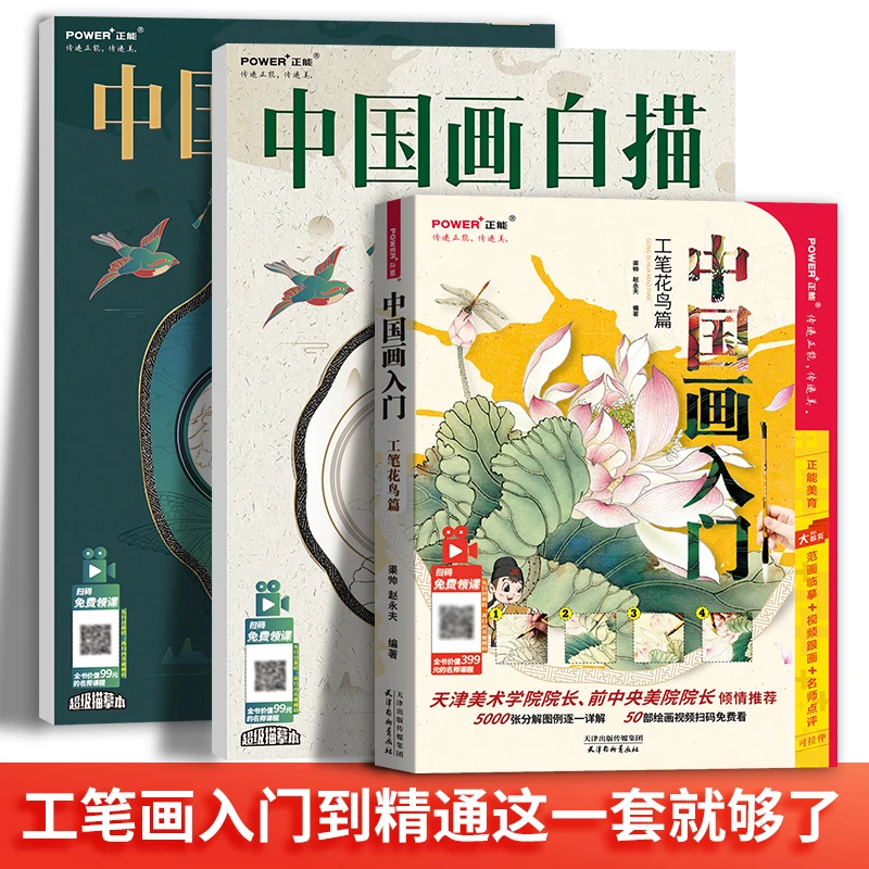 中国画入门工笔花鸟篇+描摹本工笔入门教程零基础绘画临摹商品图