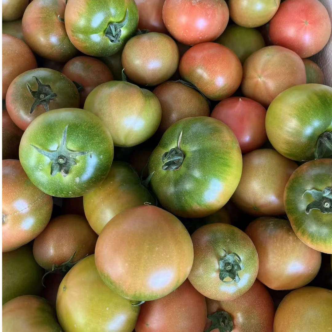 天津本地草莓水果西红柿 JD  SF 包邮