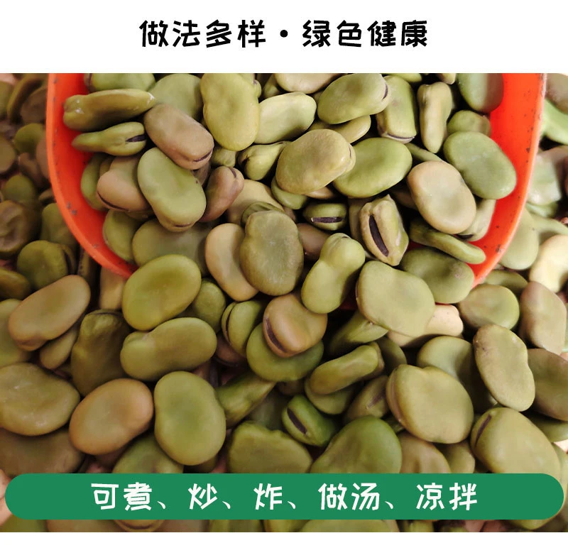 精选2025年新鲜皖北农家蚕豆干货