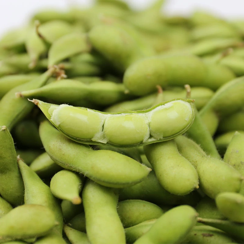 《顺丰包邮》新鲜带壳毛豆现摘现发农家自种