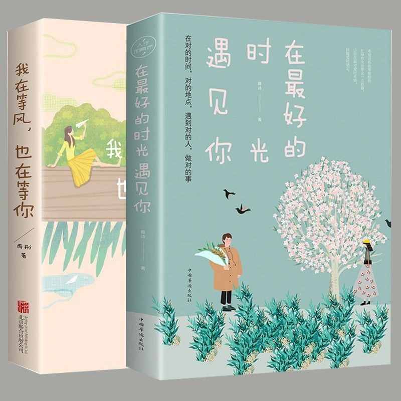 我在等风也在等你雨彤著在好的时光遇见你小说书青春言情都市书籍