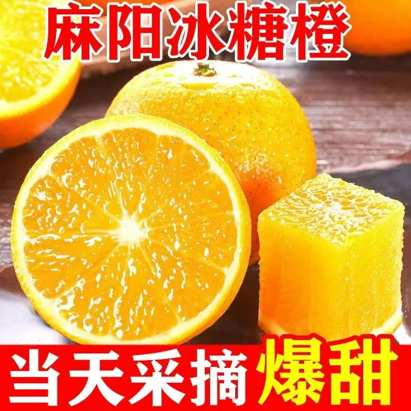 M正宗湖南麻阳冰糖橙现摘现发香甜多自然成熟孕妇水果带箱5斤/9斤