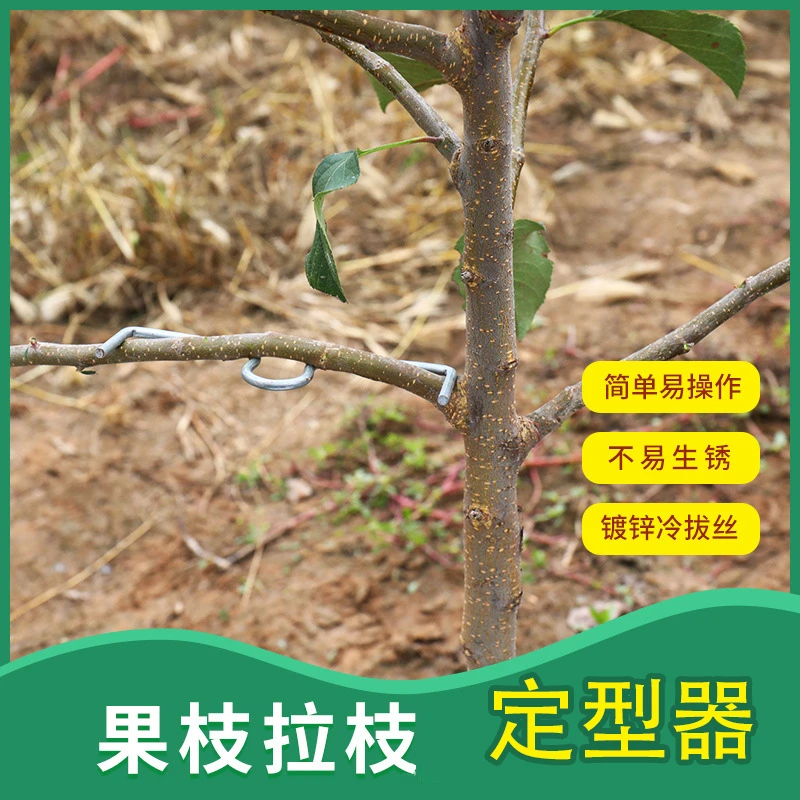 果树拉枝神器m型拉枝器别枝器拉枝器压枝弯枝定型拉树枝神器