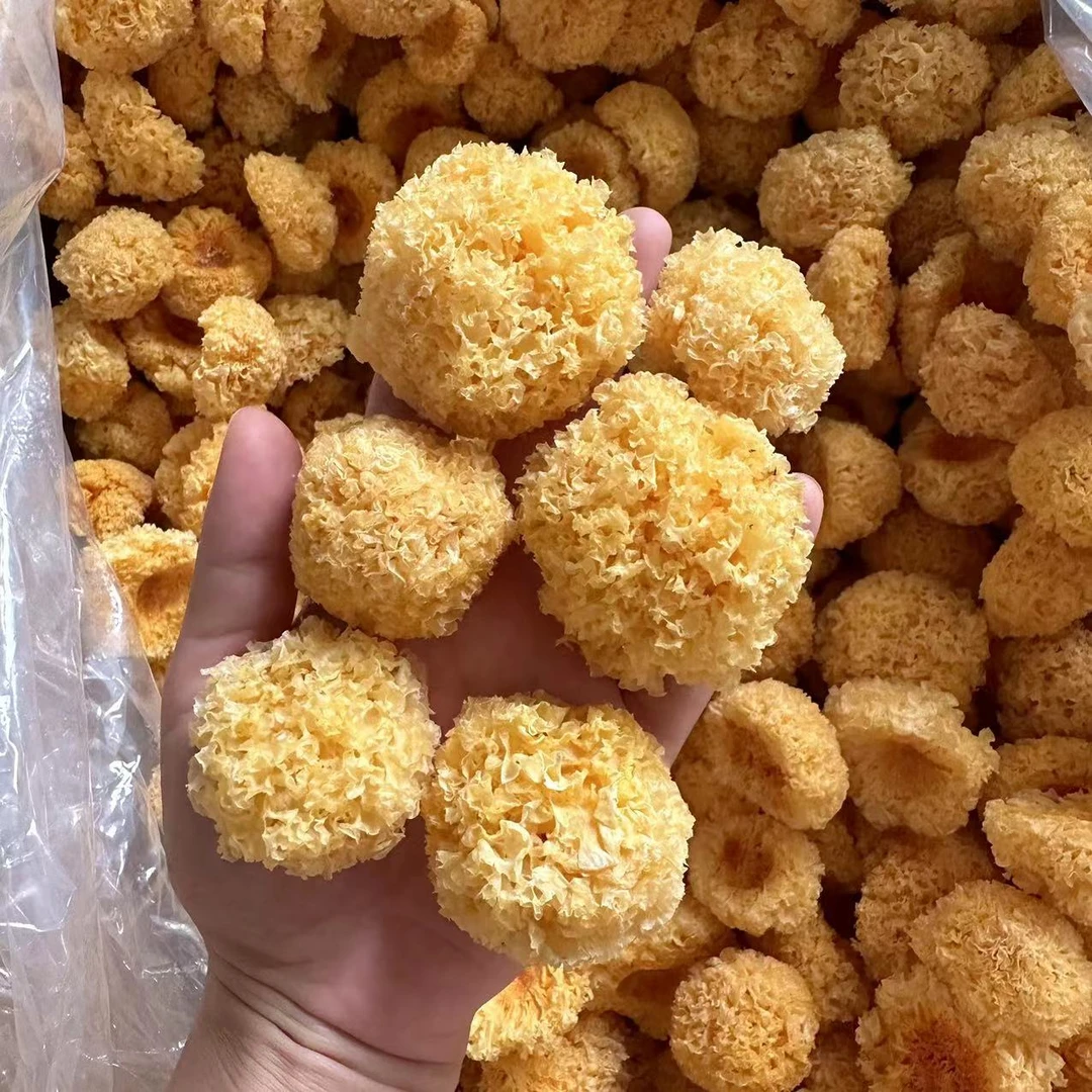 椴木小银耳 200g野货