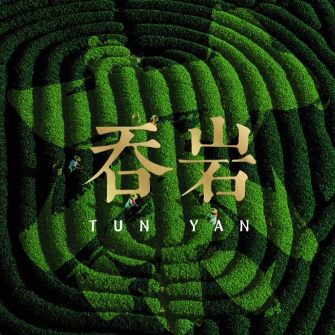 吞岩  陈茶组合     代链接