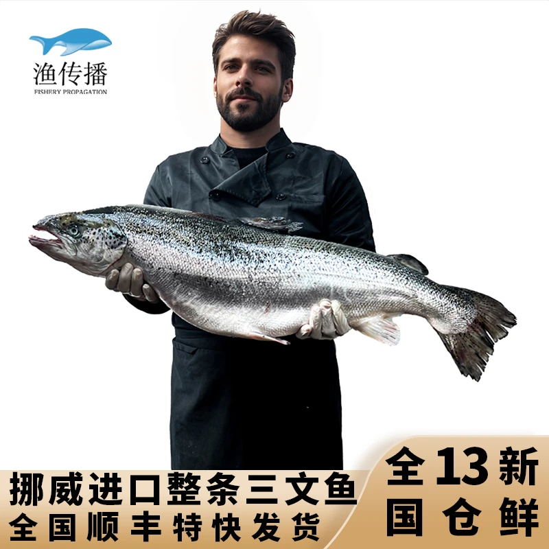 渔传播 冰鲜 挪威进口三文鱼整条大西洋鲑5-6kg/条刺身生鲜整只