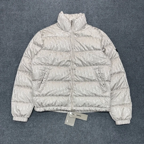 全新未使用/Dior 银色立领满印logo羽绒服/46码/公价21000