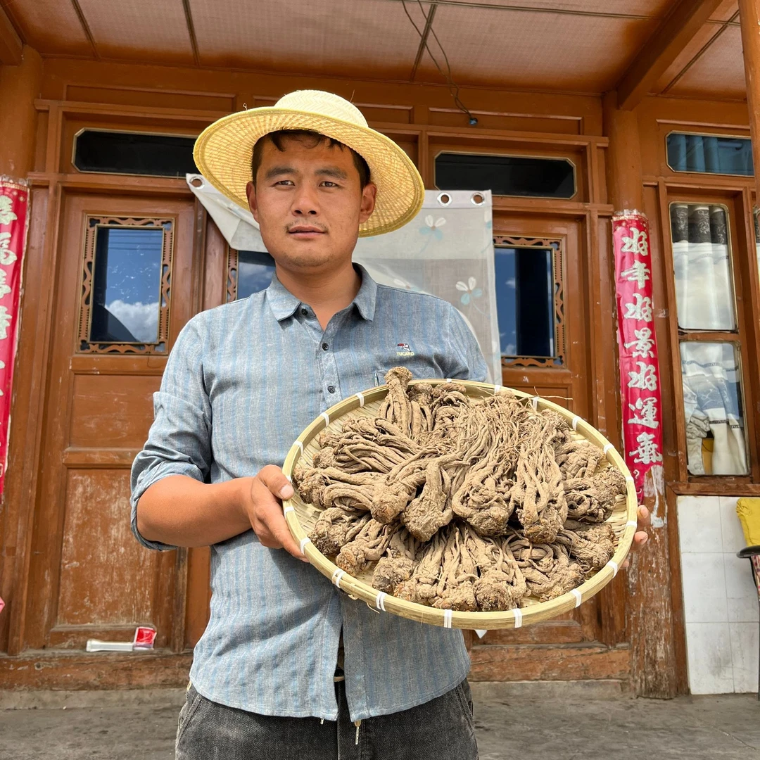 当归岷县全当归整根甘肃中药材野生特级正品党归片黄芪党参