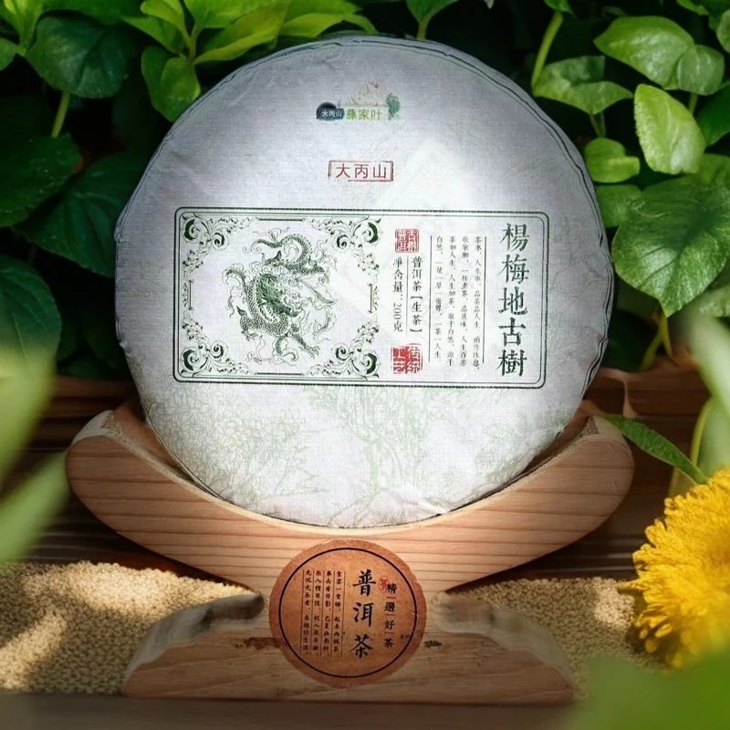 【村长严选1】2024杨梅地古树云南普洱茶 饼茶