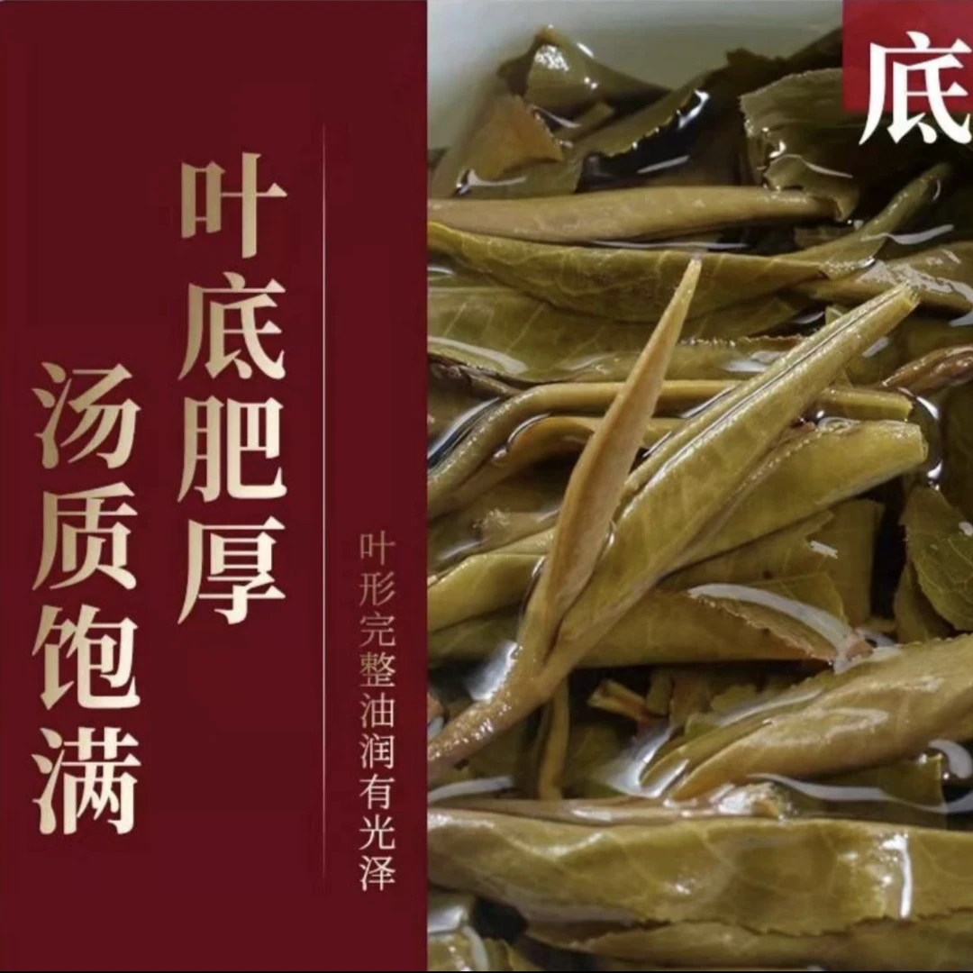 【2021年】 老班章105号  生茶