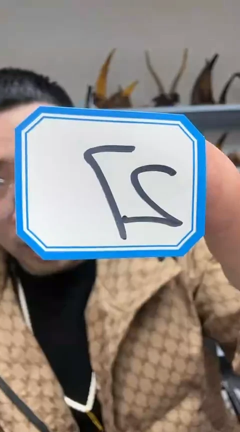 【闪购商品】工艺品核雕27