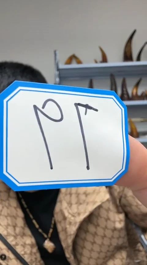 【闪购商品】工艺品根雕79