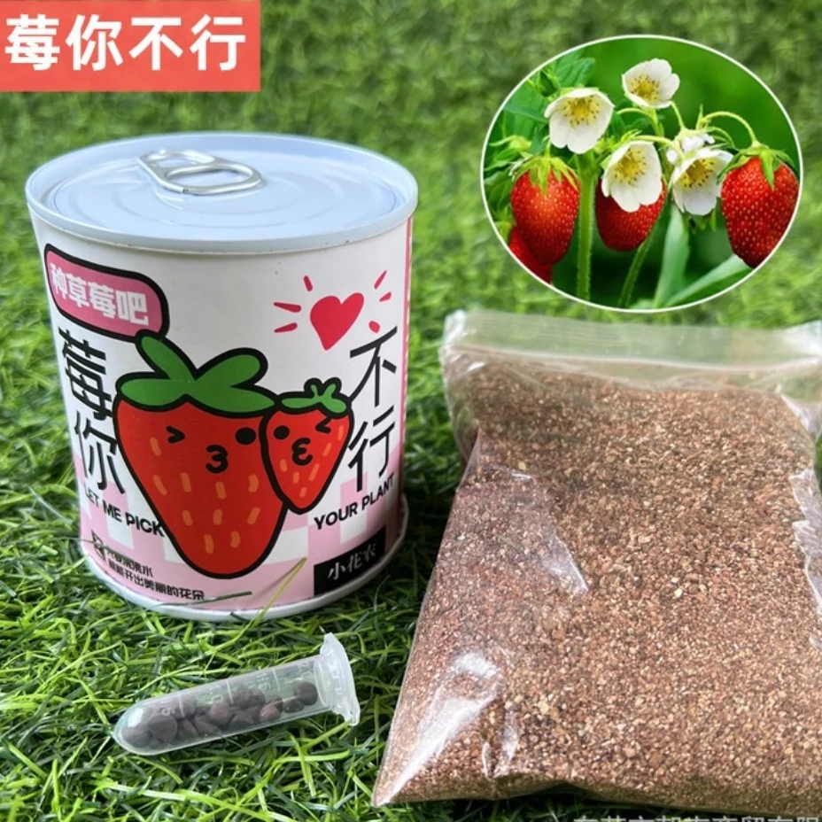 儿童创意科教种植盆栽DIY手工植树节亲子种植教材办公室绿植养护